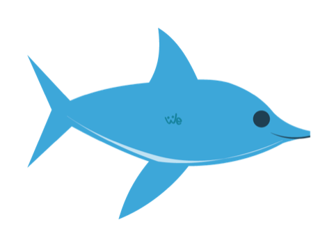 Playful Dolphin